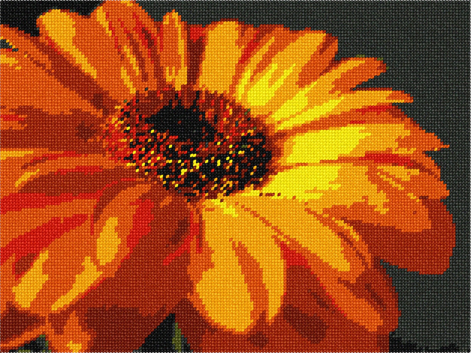 Gerber Daisy Needlepoint Kit or Canvas (Floral/Flower/Nature) eBay