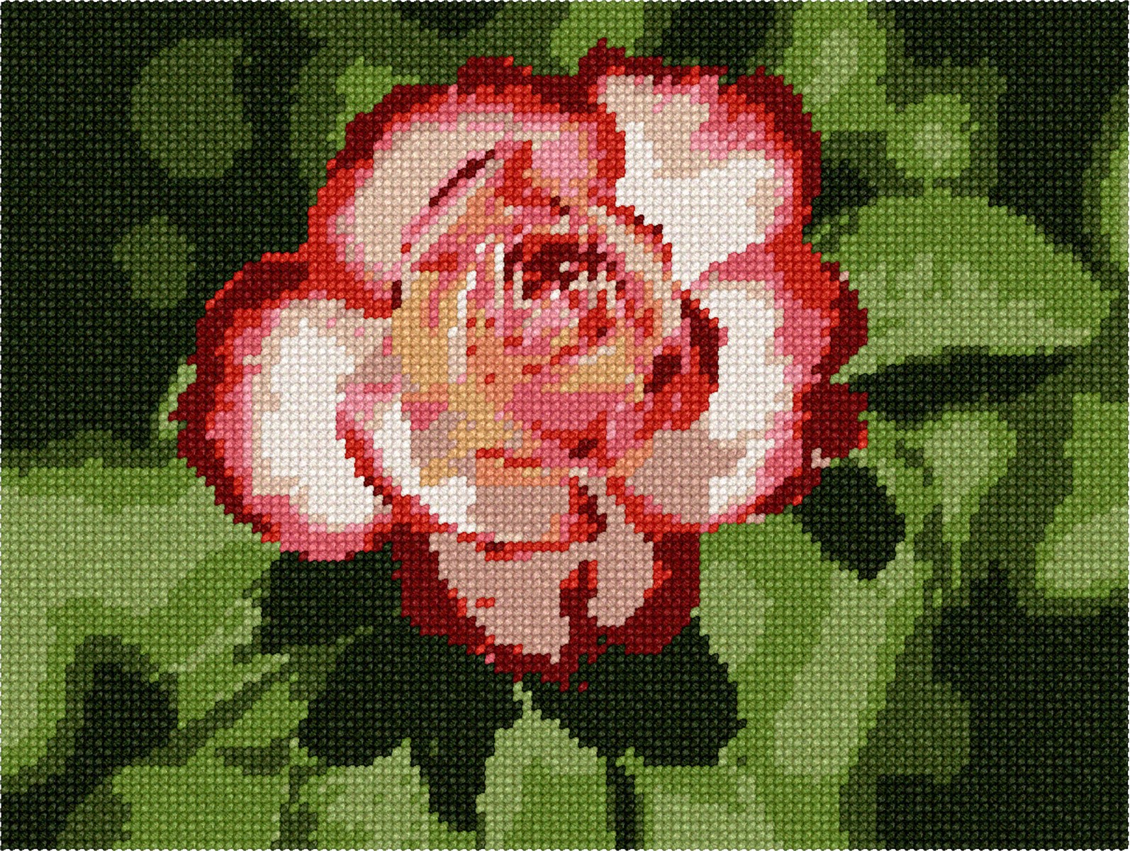Shoshana Rose Needlepoint Kit or Canvas (Floral/Flower/Nature) eBay